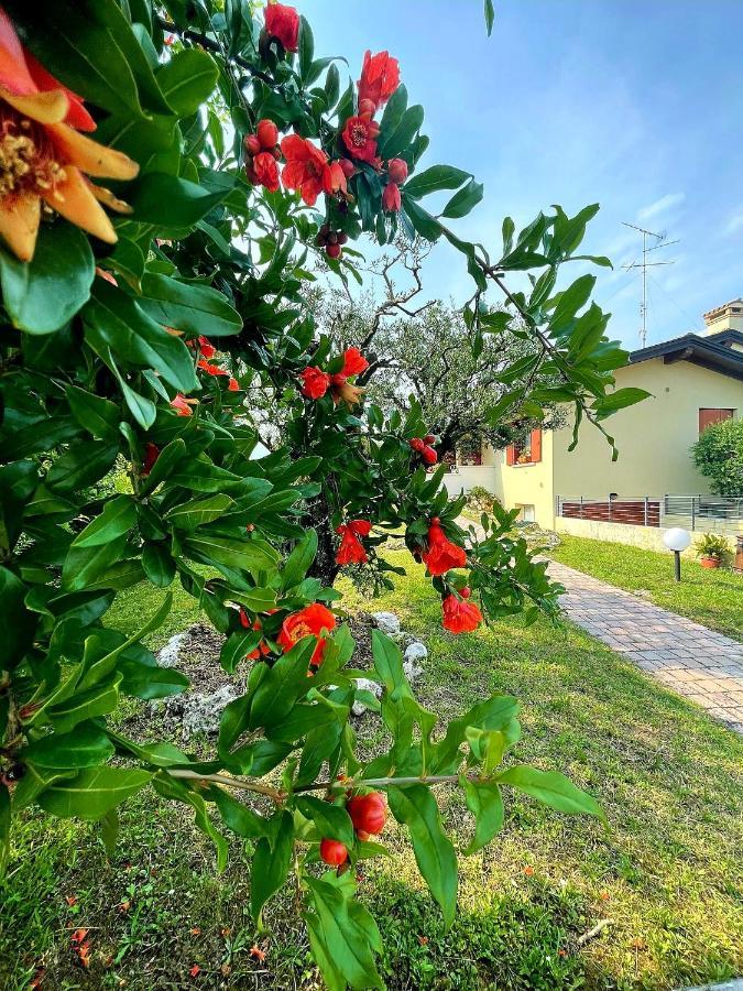Villa Ama Pordenone Exteriör bild